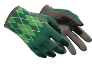 ★ Driver Gloves | Hand Sweaters (Minimal Wear)