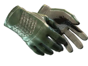★ Driver Gloves | Racing Green (Minimal Wear)