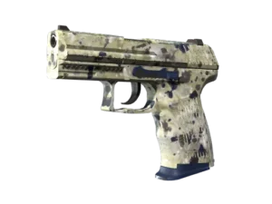 P2000 | Granite Marbleized (Minimal Wear)