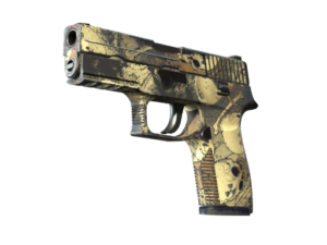 P250 | Contamination (Field-Tested)