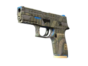 P250 | Exchanger (Minimal Wear)