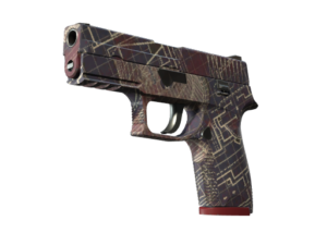 P250 | Facility Draft (Field-Tested)