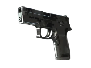 P250 | Metallic DDPAT (Factory New)