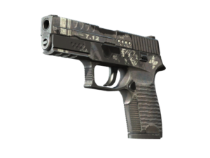 P250 | Re.built (Battle-Scarred)