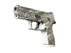 P250 | Sleet (Field-Tested)