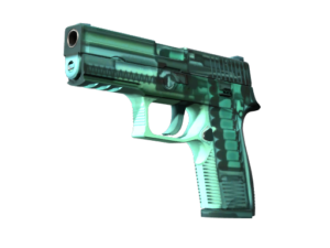 P250 | X-Ray (Field-Tested)