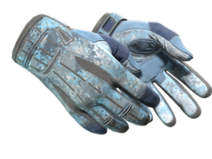 ★ Sport Gloves | Frosty (Well-Worn)
