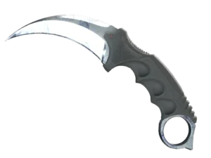 StatTrak™ ★ Karambit | Stained (Well-Worn)