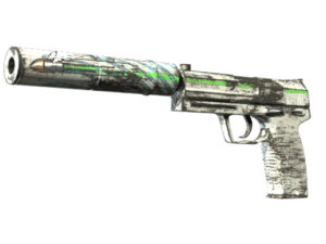 USP-S | Road Rash (Well-Worn)