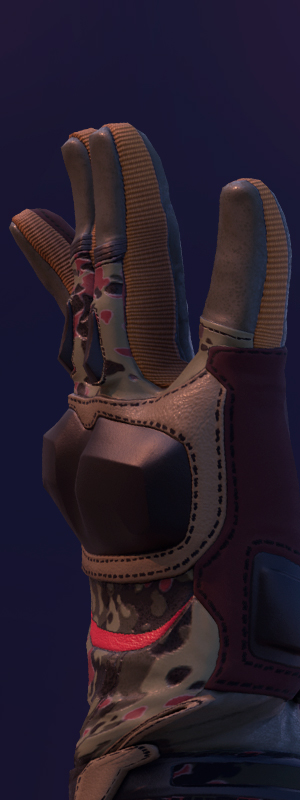 The Cheapest Gloves In CS2: Ultimate Collection [2025]