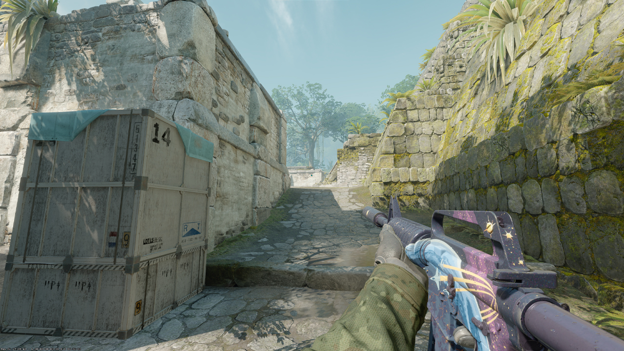 Pro Players' Viewmodel Settings