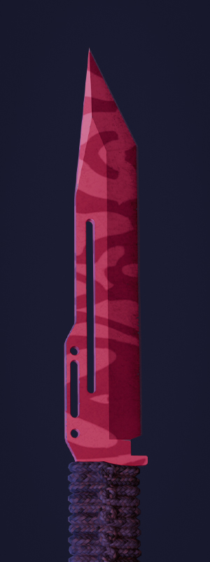 The Best Cheap CS2 Paracord Knife Skins
