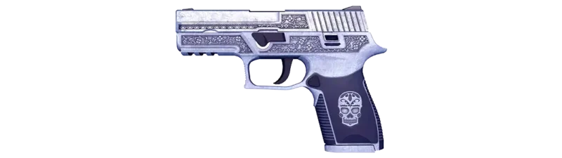P250 | Cartel
