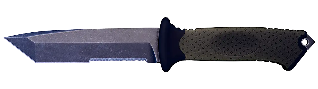 Ursus | Ursus