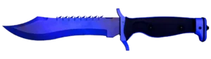 prize item