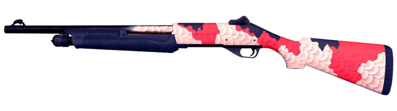 Nova | Koi