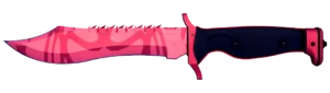 prize item