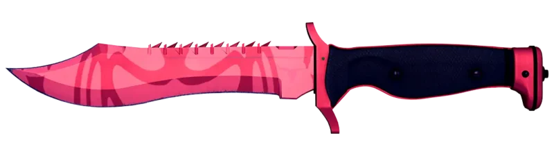 Bowie Knife | Slaughter