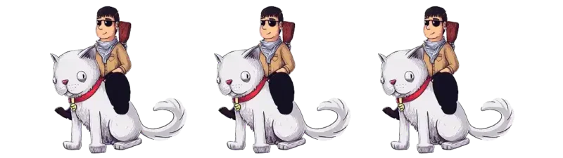 T on Cat