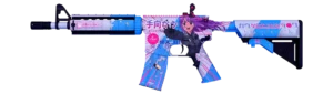 prize item
