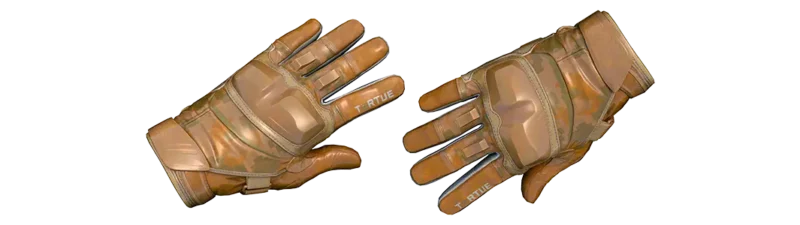 Moto Gloves | Transport