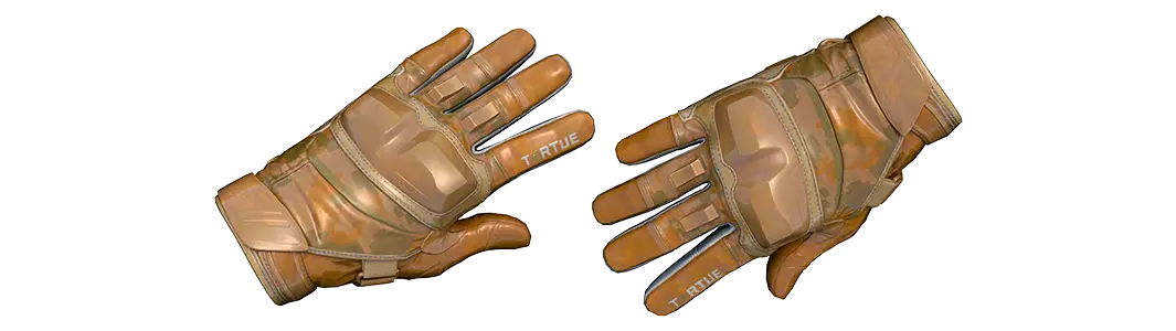 Moto Gloves | Transport