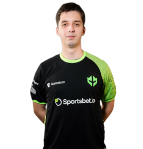 VINI
