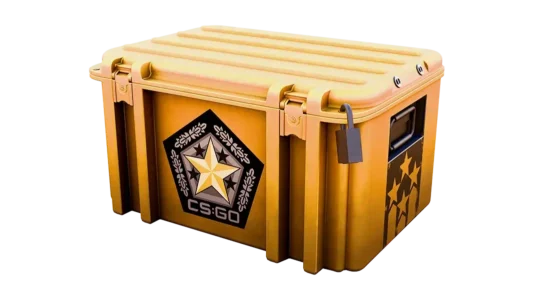 Gamma 2 Case