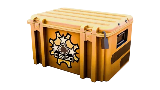 Revolver Case