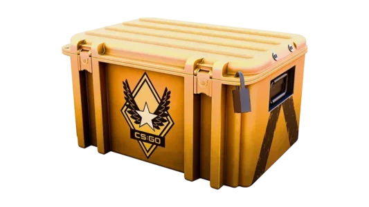 Winter Offensive Weapon Case
