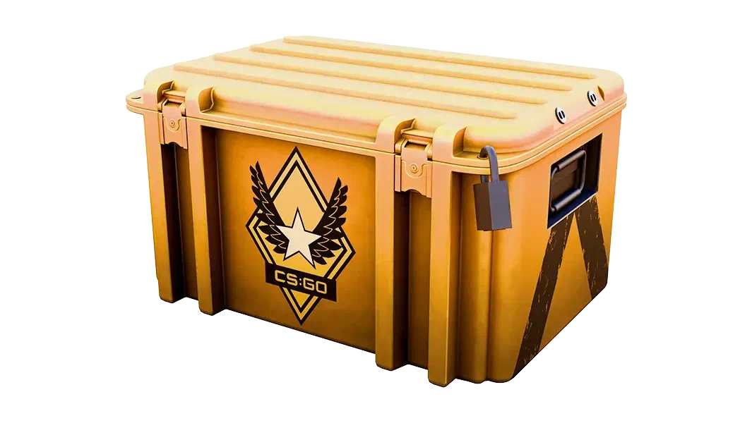 Winter Offensive Weapon Case