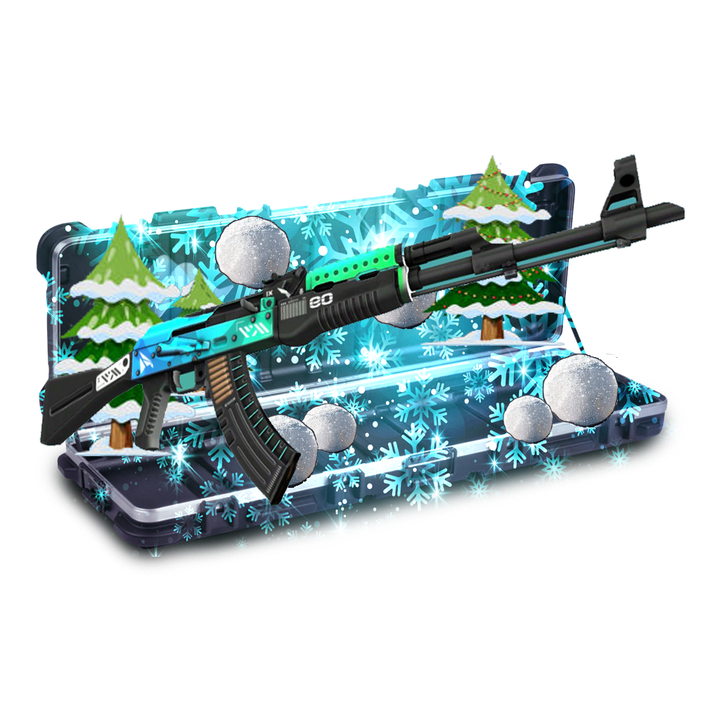 Case