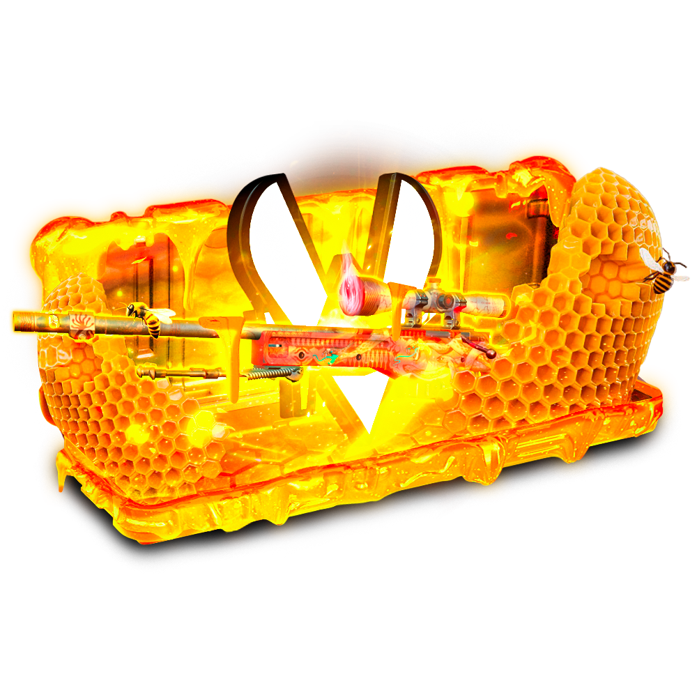 Case