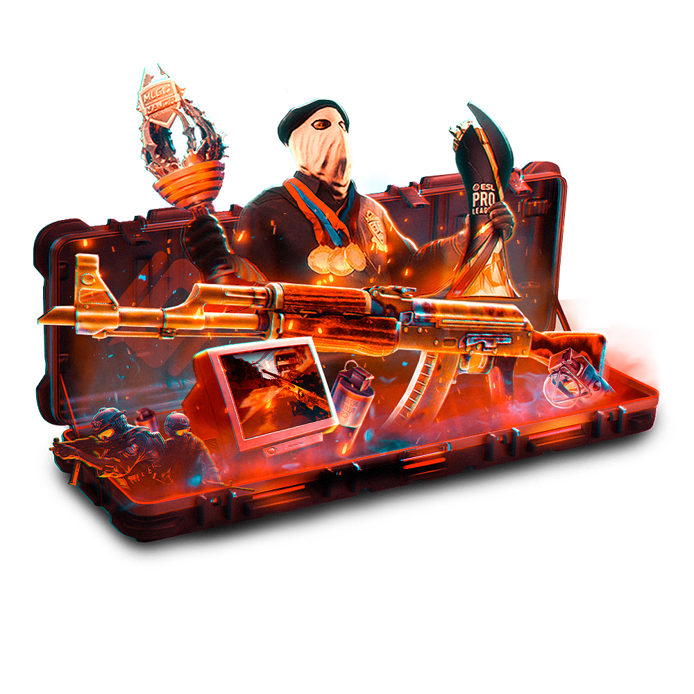 Case