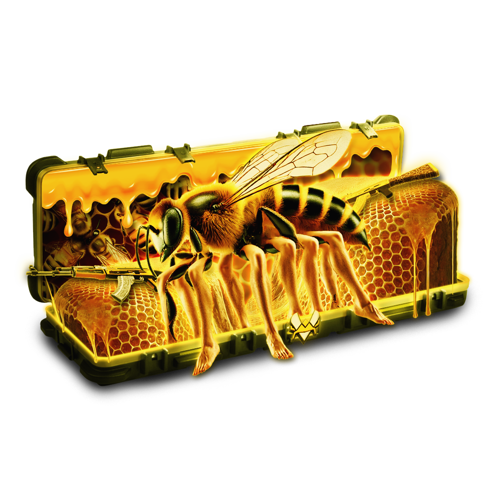 Case