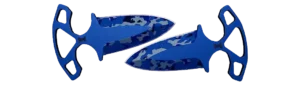 prize item