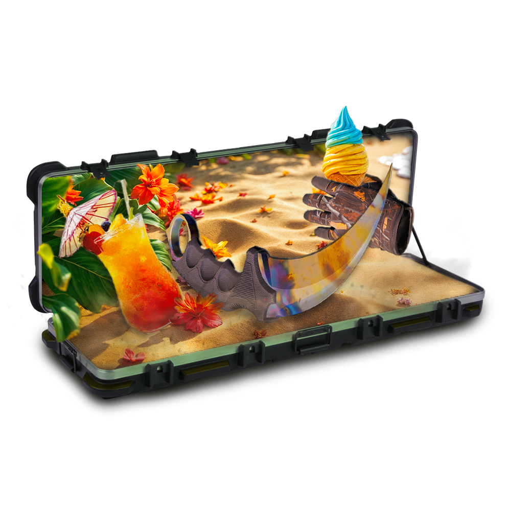 Case