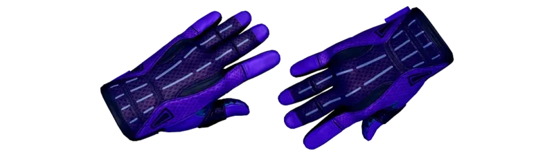 Sport Gloves | Pandora's Box