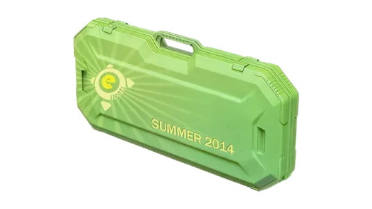 eSports 2014 Summer Case