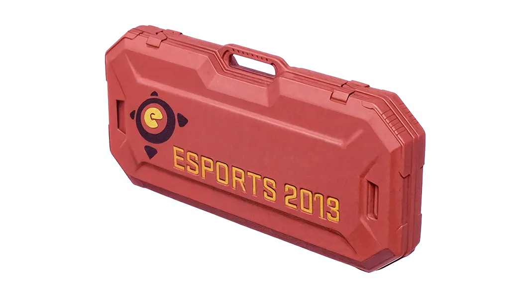 Кейс eSports 2013