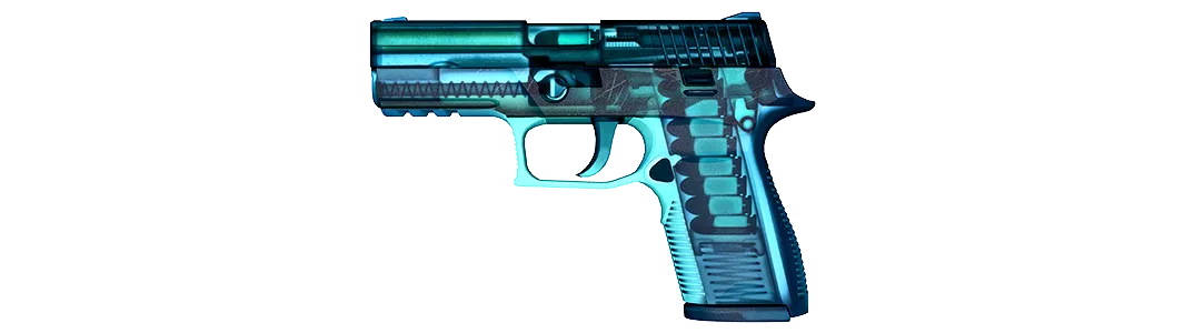 P250 | Рентген