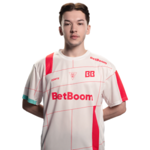 zorte
