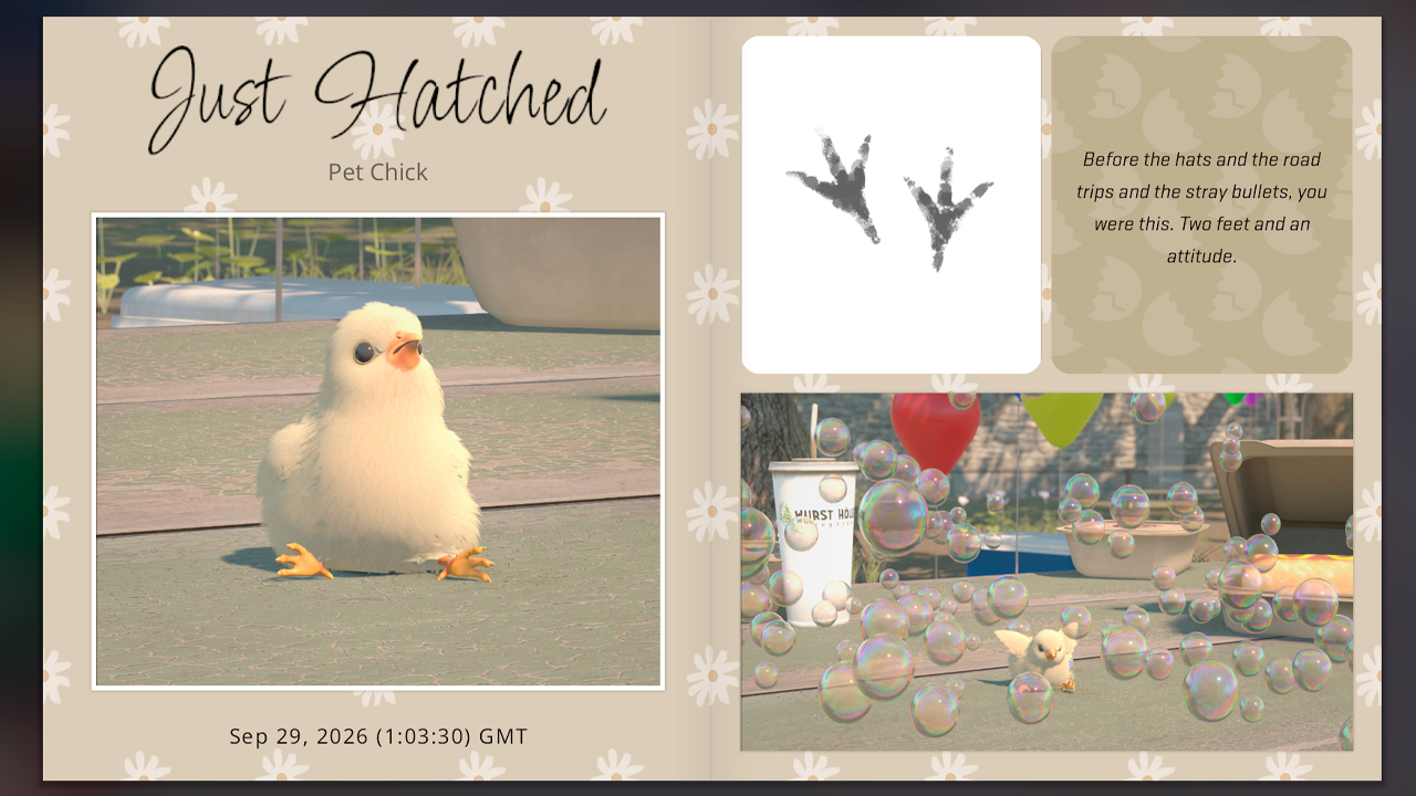 Hatchbook, Photo Booth and Hats