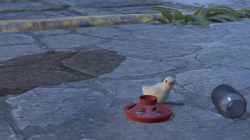 CS2 players outraged by chicken death animation from starvation